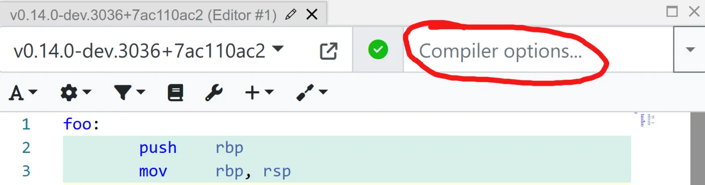 A screenshot showing the "Compiler Options" field